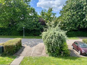 Photo 9- click for photo gallery